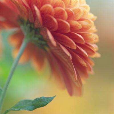 2023年新澳门今晚开特马下载手机版