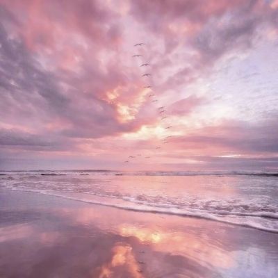 万博manbetx客户端截图