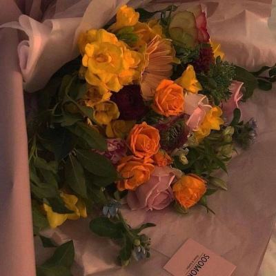 一分极速赛车平台