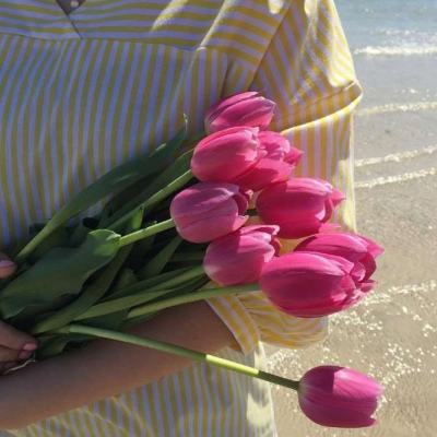 kok最新客户端app下载