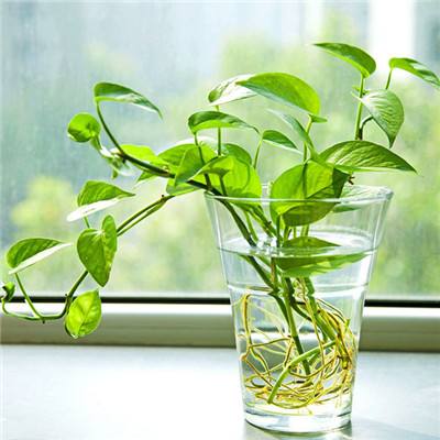 小罗米乐M6官网登录正版下载