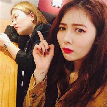 香港最准资料免费公开app下载